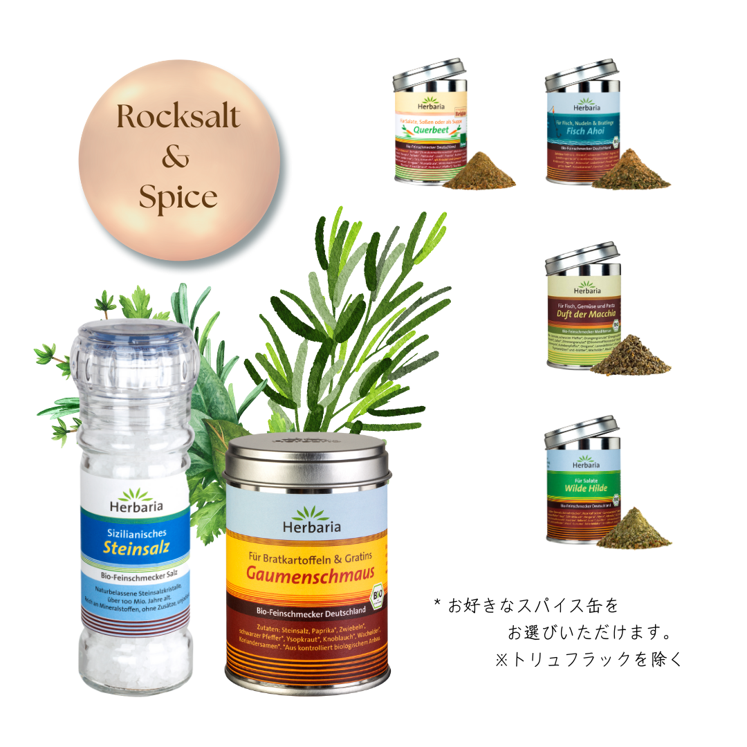 【送料無料】ロックソルト&amp;選べるスパイス缶